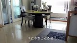 主人把贵宾犬独自留在车里，狗子会是啥反应？看完笑翻了
