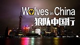 《狼队中国行》纪录片：2019之夏的宁沪狼影