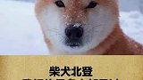 大人才选择宝宝全都要