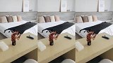 泡泡浴缸,落地窗28楼风景超美