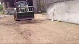老外用这种方式喂牛