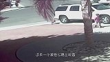 母牛攻击主人，一旁马儿的做法让人感动，这么有灵性真的没白养