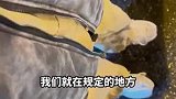 女子站路边候网约车被水溅