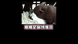受了委屈找前男友告状是什么操作？