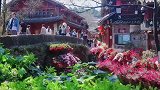 春暖花开了，带上心爱的人，一起来丽江吧！