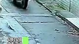 广东江门：偷狗贼用“毒药”喷一下狗，狗子直接离开狗世