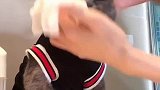 吓屎了，刮台风我们都不敢粗门