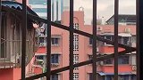 奶牛猫在空中乱荡，以为是别人故意的