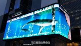街边出现80米长“大水缸”，海浪不断翻滚，人们看见都惊艳了