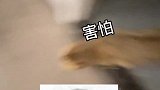 孩子放心，爸爸安心