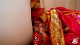 网红猫周岁大典身穿武则天战袍走红毯，老猫：逼朕退位？