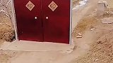 这户人家这大门，安等于没安