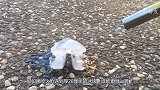 喷火枪遇到厚20厘米的冰块，谁能更胜一筹？画面太硬核！