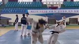 似乎有点个人恩怨，但也不至于这么明显吧