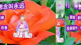 董卿一首《有一种思念叫永远》用金钱买不回，温馨浪漫情歌超好听