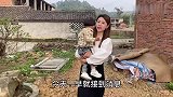 村里选村干部像过年一样热闹，每个人都领了钱，这种场面很少见
