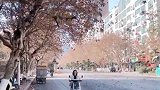 这叫冬风落叶吗？