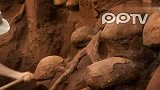 巴西发现巨大地下蚂蚁王国 错综复杂似迷宫