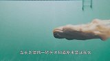 水中出现长毛怪物，这是“水鬼”？一转头才知道原来是这家伙
