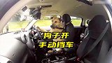原来当年教练说的狗都会开车是真的！