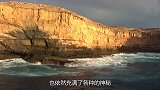 世界上最大鱿鱼，除抹香鲸几乎没有天敌，但寿命却只有一年时间！
