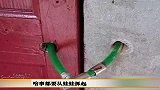 生活-啥事都要从娃娃抓起