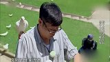极限挑战：王迅上演《布拉格广场》MV，红雷吟诗吓跑小朋友