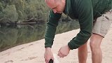 干旱污染致大量死亡 研究：澳大利亚鸭嘴兽面临灭绝