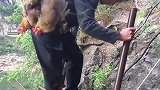 一辈子生活在大山里，这是唯一出路，希望政府重视！