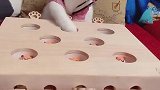 猫：你玩你的，我玩我的，谁也别打扰谁！