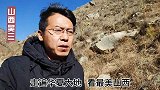 太行山脉发现一只黑狐，护食的样子非常凶残，冬季食物太紧缺了