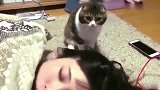 猫咪：卧槽不会死了吧，这样叫都不醒