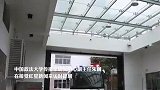 刑满释放人员变“励志网红”？多家平台回应