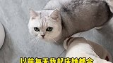 只要风车车一天不拆家蹦迪，那必然就是有问题的