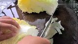 白菜豆腐煲的做法，出锅香气四溢又好吃，肚子都看饿了