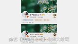 王子文吴永恩官宣恋情！发甜蜜合照被赞夫妻相，网友：磕到真的了