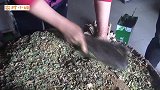 贵州万能的土坛酸菜，怎么都好吃，但这制作过程不是一般人能做到