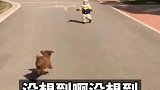 以为是感人的一幕，没想到啊没想到