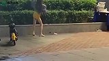 爆笑：会了吗？再不会我去你家教你了