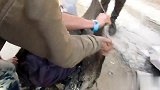 人狗情深，一只狗狗不慎掉进沥青桶，经过救助终于恢复了健康