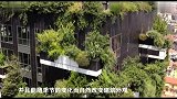 3种不同寻常的房屋，原来房子还能这样建，给设计师的脑洞跪了