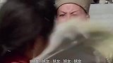 论打架，你师傅一百年来没怕过！