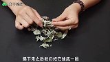 艾叶草真是个宝，这样放在家里作用太棒了，学到就是赚到