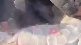 猪皮上还有文身，也不知道是什么转世
