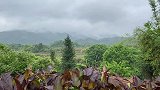 江西老乡2年前捡了个“狗头石”，一直收藏在家，还说挺值钱的