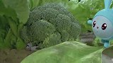 瑞奇宝宝：跳跳在找胡萝卜，可一直都找不到，来小脾气了