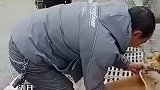看热闹狗狗被主人抓住干活