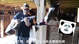 之前我也以为我们是知己，后来我发现你就是想拿我当交通工具