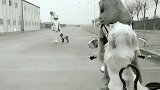 确认过眼神，结局是你想不到的！