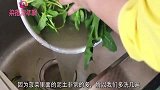 菠菜里加1碗面粉太美味，除了香还是香，简单营养又快速，好吃